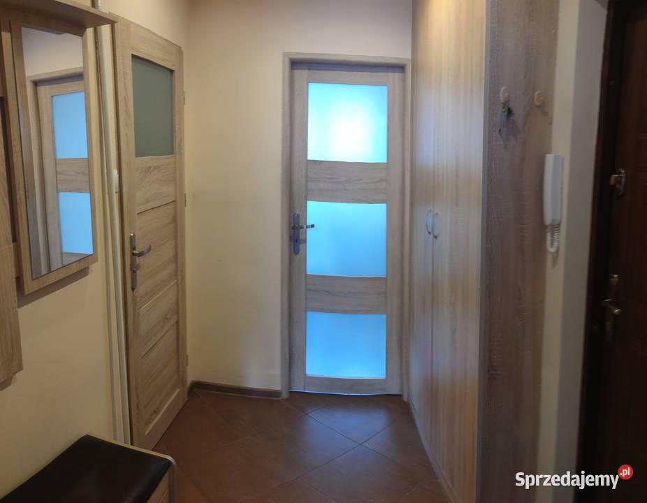 mieszkanie kawalerka piwnica Pabianice