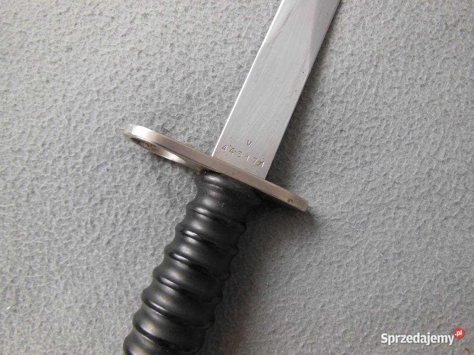 Bagnet Szwajcarski SIG 57 świętokrzyskie