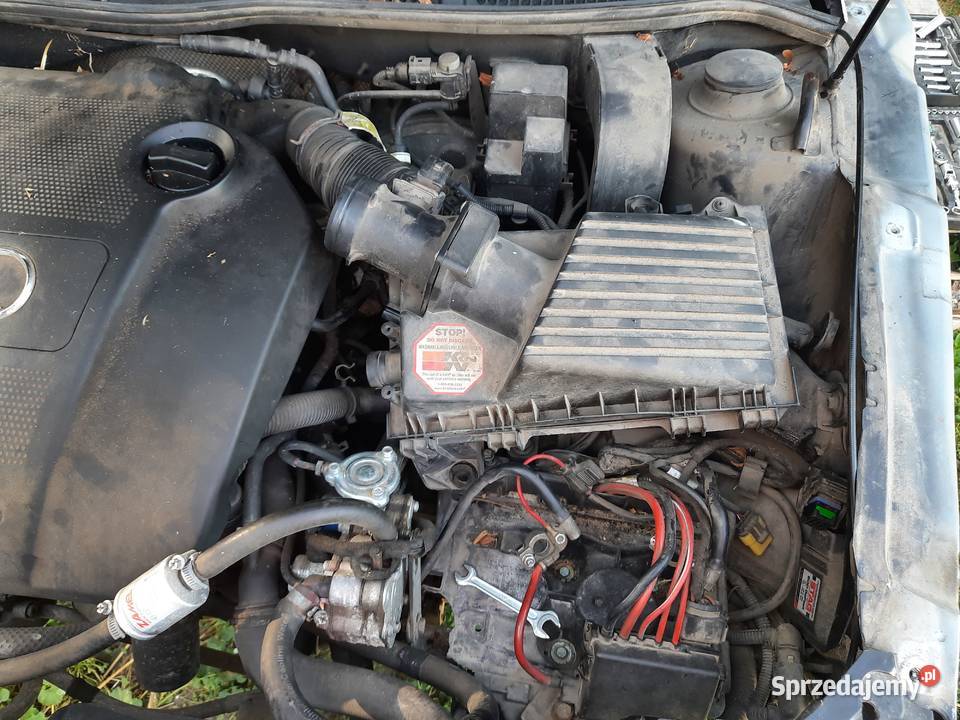 Części audi a3 8L Dziadkowskie