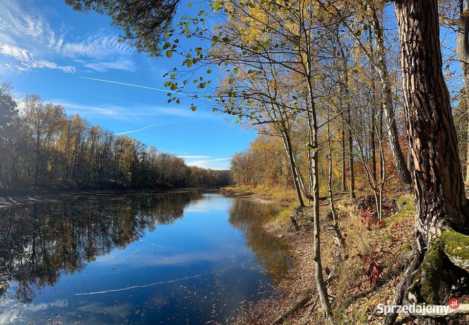 Działka budowlana kolorowe jeziorka Sprzedaż Chełmica