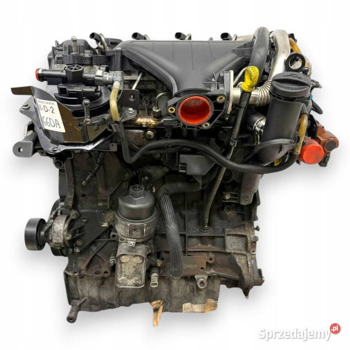 SILNIK G6DA Ford C C Focus MK2 20 TDCI 136 G6DB Chełm