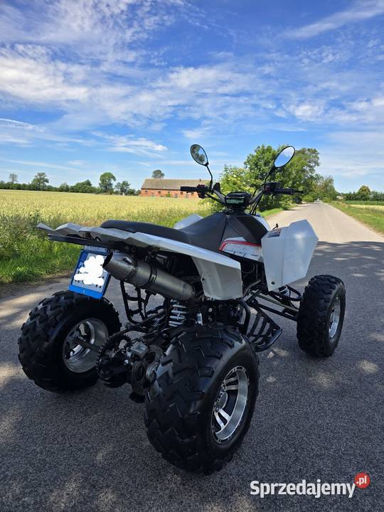 Quad Egl Mad 250cc kat B 2014r ciecz duża rama EGL Eglmotor Kruszwica