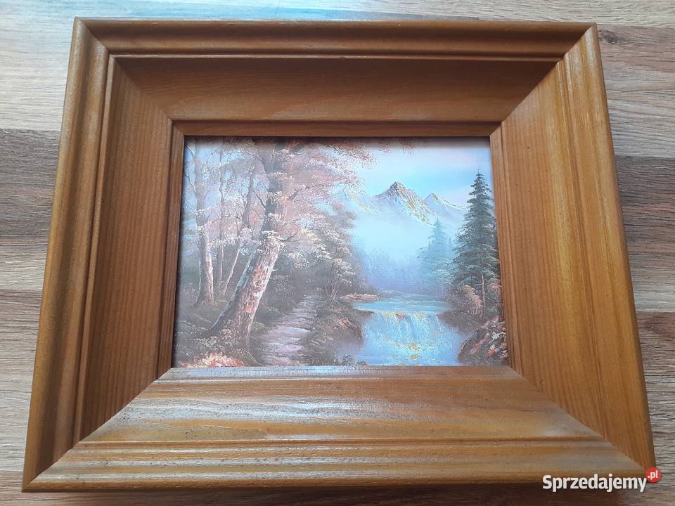 Obrazy natura 3 D w szerokiej stylowej i Sosnowiec sprzedam