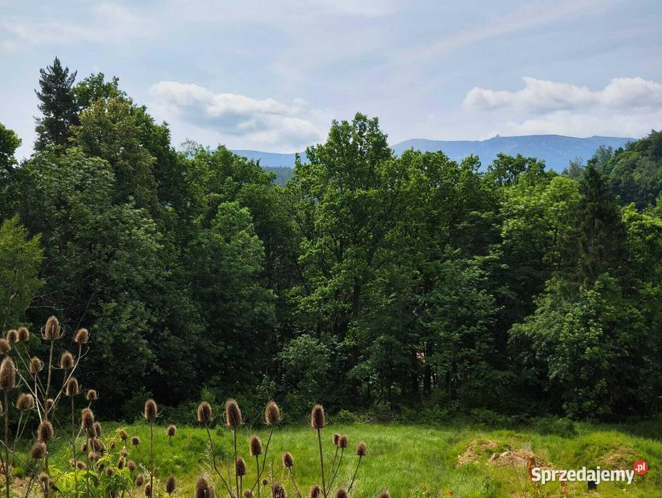 Działka w górach w m Piechowice Górzyniec Sosnówka