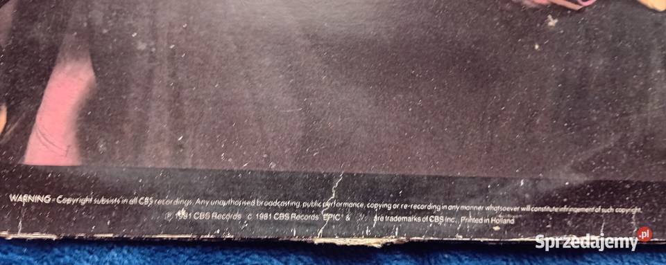 LP Shaky Shakin Stevens EpicCBS Rec 1981 r płyta winylowa Koźminek