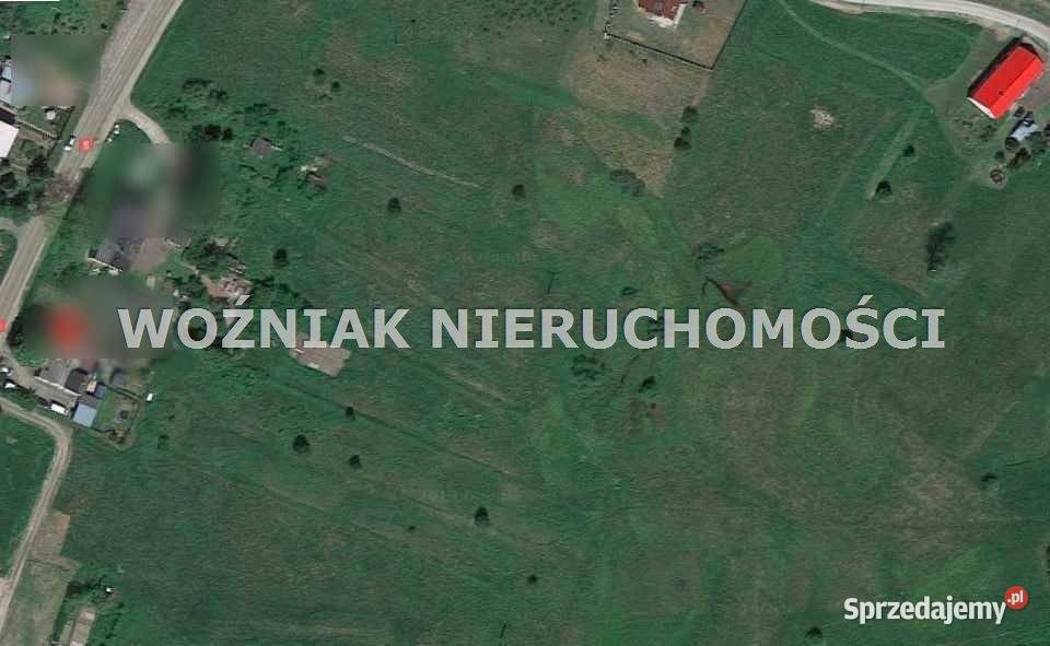 Działka Dębrznik 1137 metrów budowlana