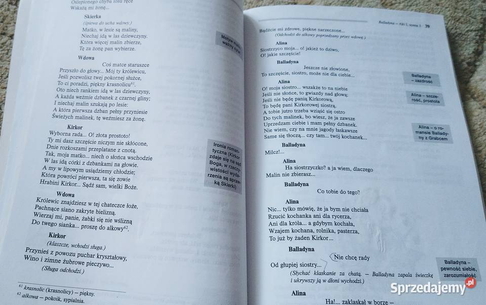 Balladyna Juliusz Słowacki Lektura z ISBN 9788373272170 Gdańsk sprzedam