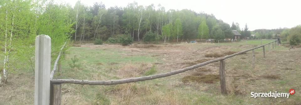Działka Borowiec Tanwią malownicza okolica drewniane sprzedam