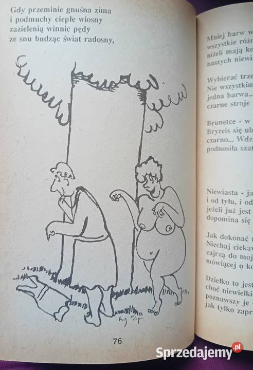 Owidiusz Sztuka kochania Wyd Zamek 1989 r Koźminek