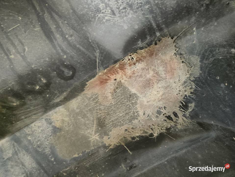 Zderzak Tył Tylny Citroen CElysee 9677698280 osobowe wielkopolskie Pleszew