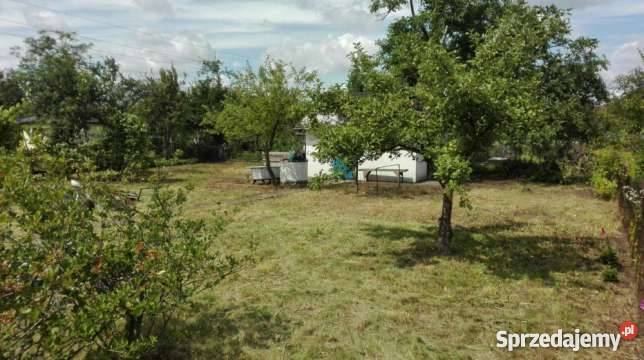 Odstąpię ogródek działkowy działka rekreacyjna