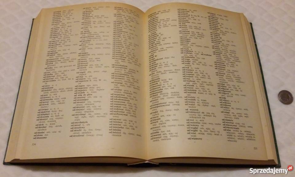 Słownik Ortograficzny Języka Polskiego PWN Rok wydania 1981 Rogoźnik sprzedam