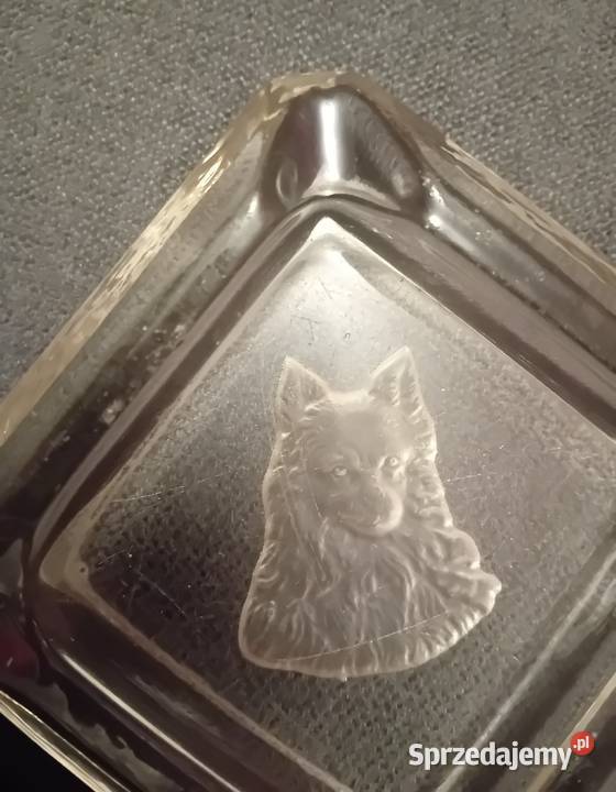 Popielniczka z wizerunkiem owczarka niemieckiego wielkopolskie Koźminek