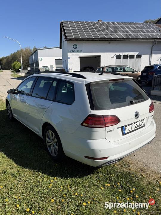 Vw Golf 7 15 Tsi 130 ACT Bluemotion wielkopolskie Czarnków