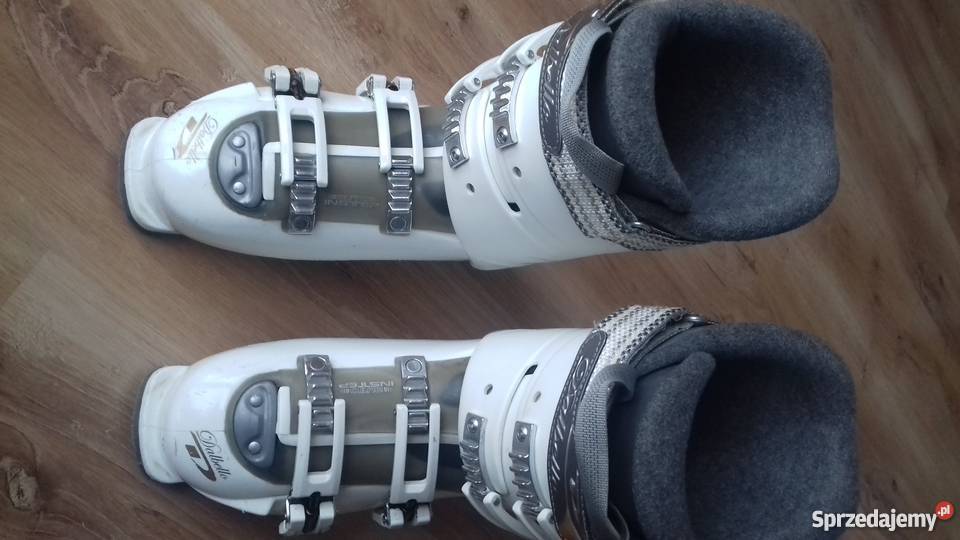 Buty narciarskie damskie DALBELLO ULTRA rozmiar łódzkie Pabianice