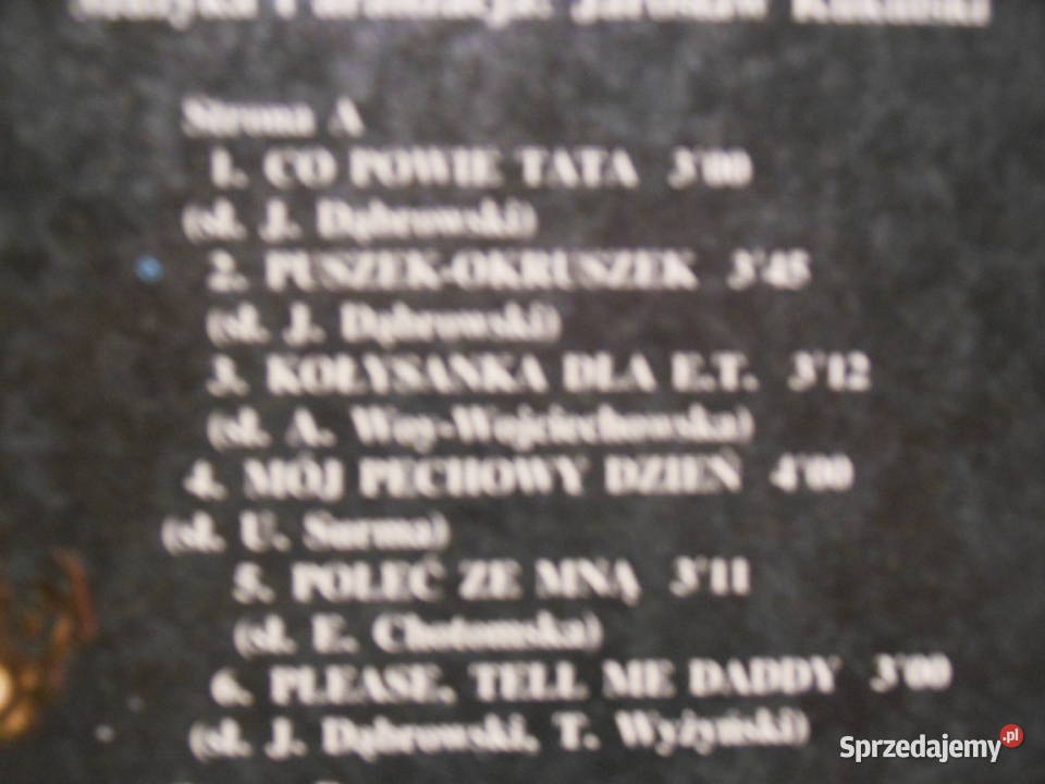 Płyta winylowa Natalia Kukulska płyta winylowa świętokrzyskie Kielce