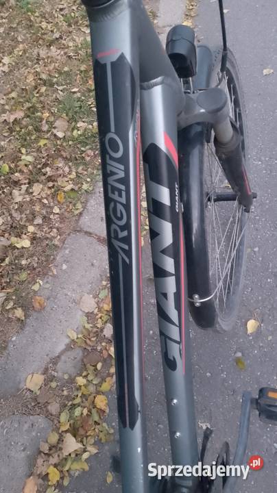 Rower damski trekkingowy GIANT Argento Koszyk Trekkingowe łódzkie Łódź