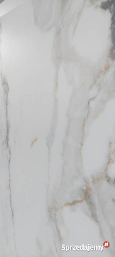 Miracle gold 120x60 gat1 płytki łazienkowe Radom