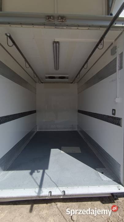 Chłodnia na Dziki Chłodnia na zwierzynę Chłodnia