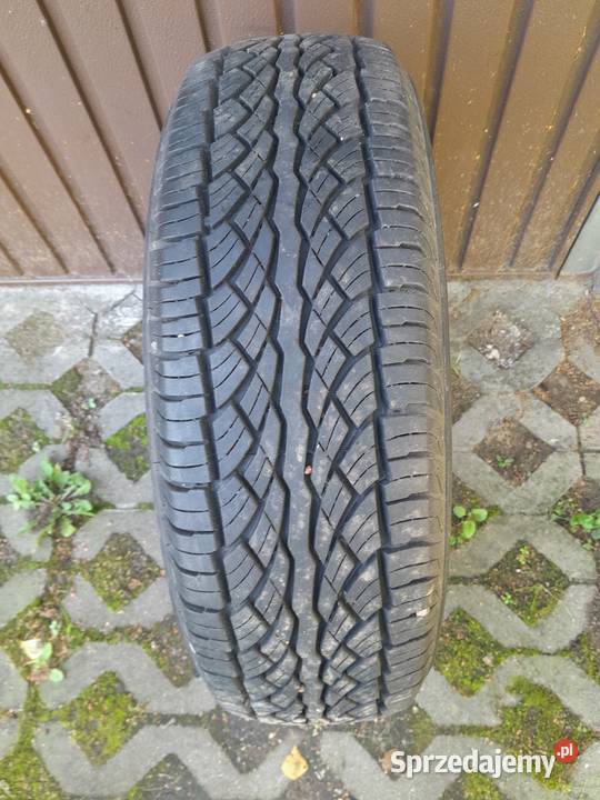 opona letnia 2156516 lato Stalmierz