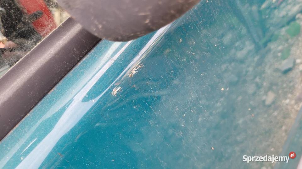 Drzwi Renault Kangoo I osobowe Łagów