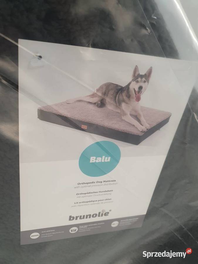 Brunolie Balu legowiska psa śląskie Częstochowa