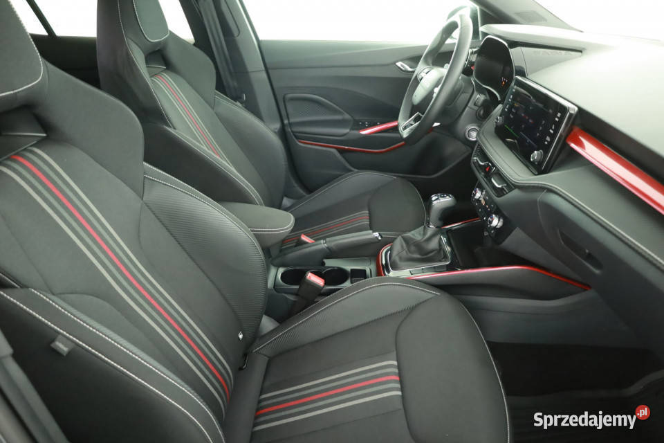Skoda Fabia 10 TSI szary