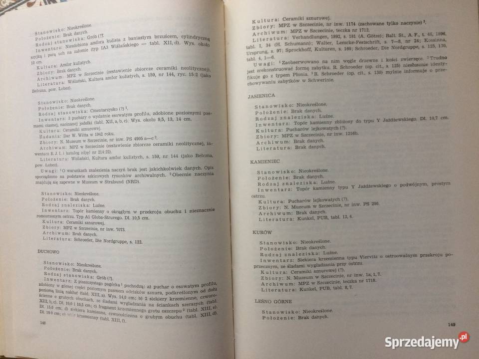 3743 Klasyfikacja CzasowoPrzestrzenna Kultur Szczecin