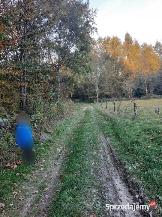 Działki rolne Słonne obok Dubiecka różne wymiary podkarpackie