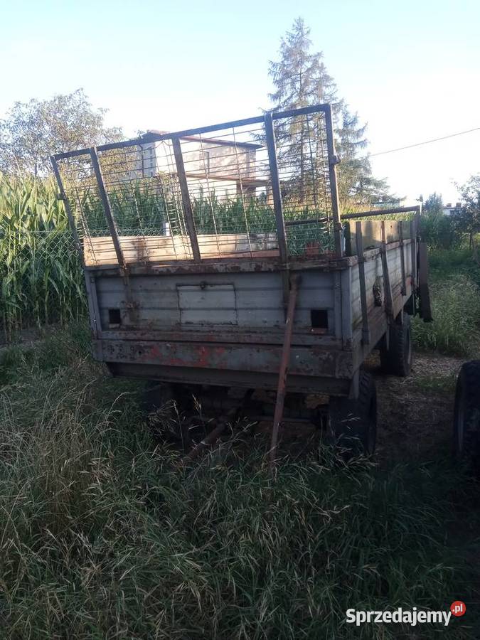 Rozrzutnik Obornika Ostrów Wielkopolski