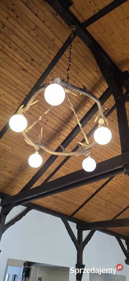 Żyrandole z poroża Zębowo sprzedam