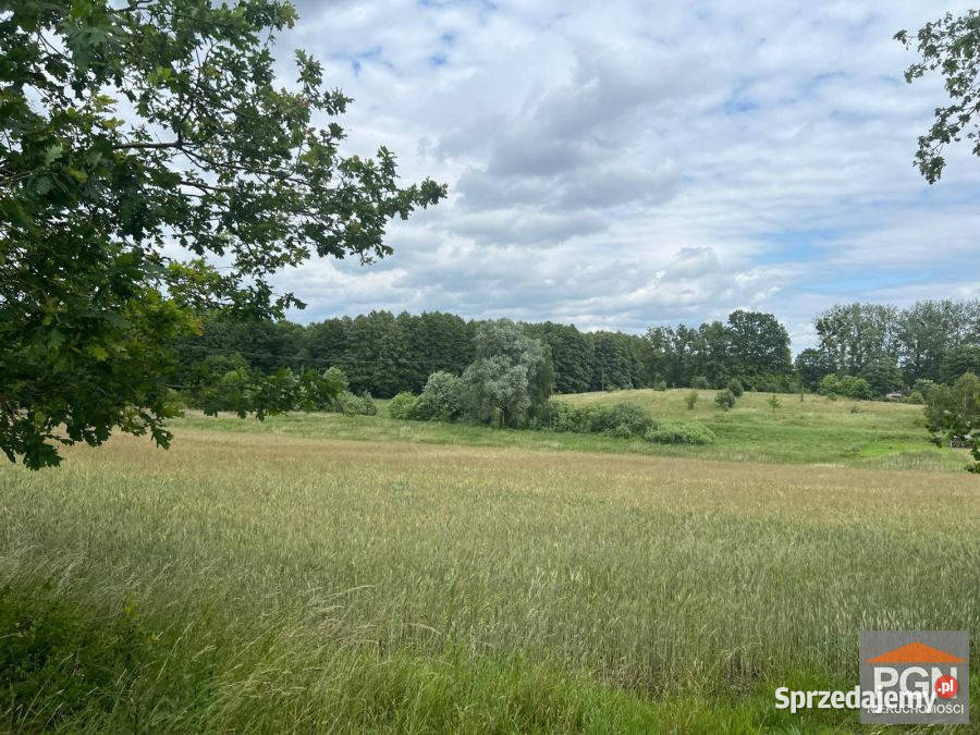 Działka 7300m2 Ościęcin polna