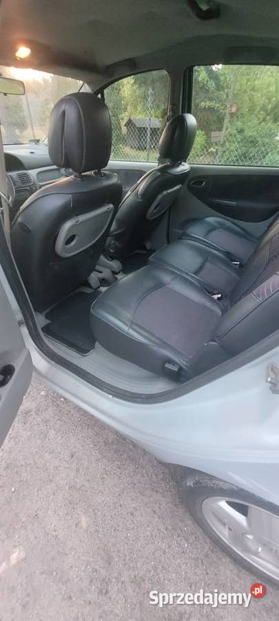 Renault Scenic Aleksandrów Łódzki