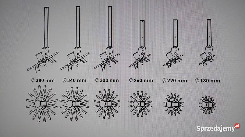 18 gwiazdy pielące gwiazda pieląca chwastownik Kutno