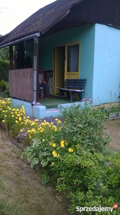 Ogródek Działkowy w MysłowiceLarysz na sprzedaż Mysłowice