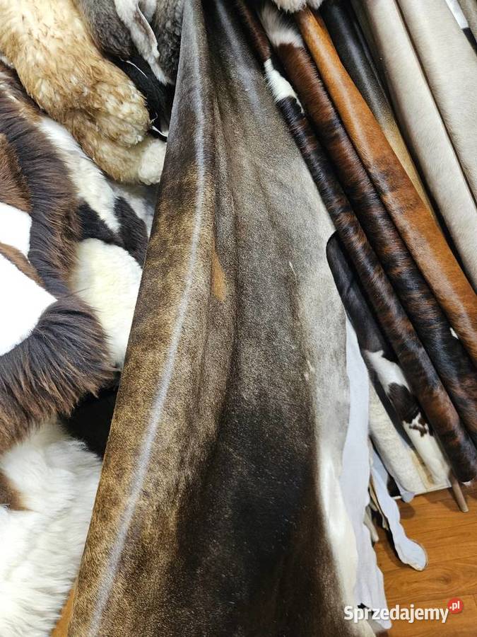 Skóra z krowy Skóry z krów bydlęce wołowe Dywany Zakopane
