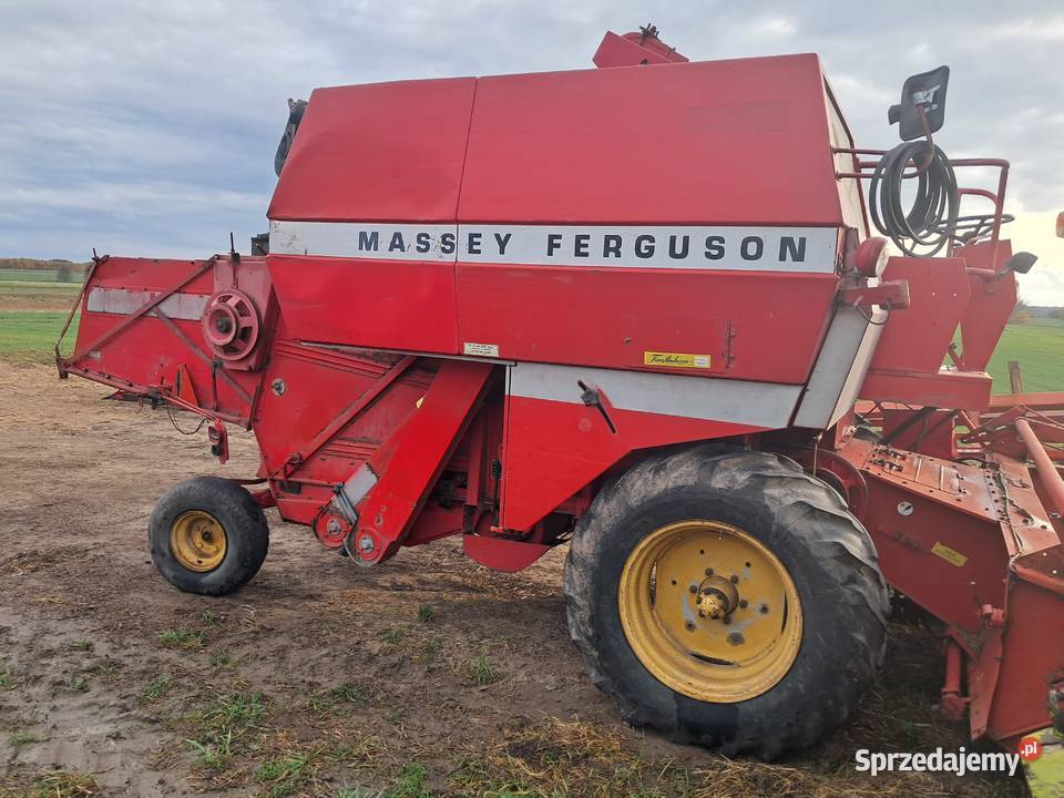 Kombajn Massey Ferguson 206 z sieczkarnia w Radom sprzedam