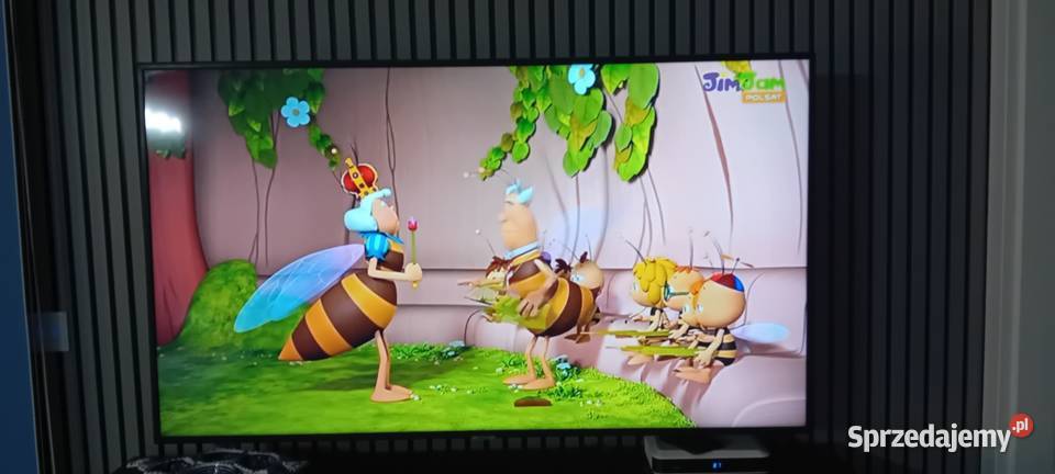 telewizor LEDLCD Samsung 55 Włocławek