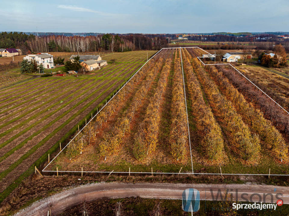 Działka 21802m2 Michrów mazowieckie