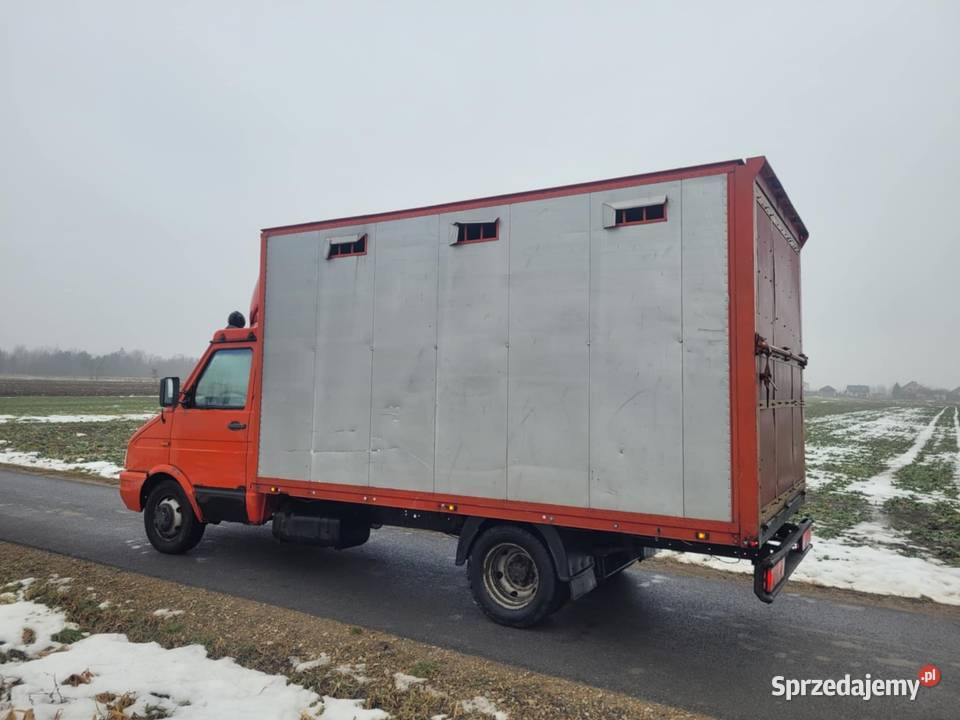 Iveco Daily 3510 1996r Koniowóz Do przewozu Iveco podkarpackie Mielec