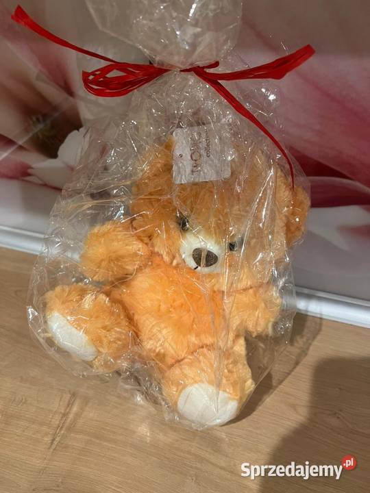 Nowy uroczy prezentowy miś pomorskie Gdańsk