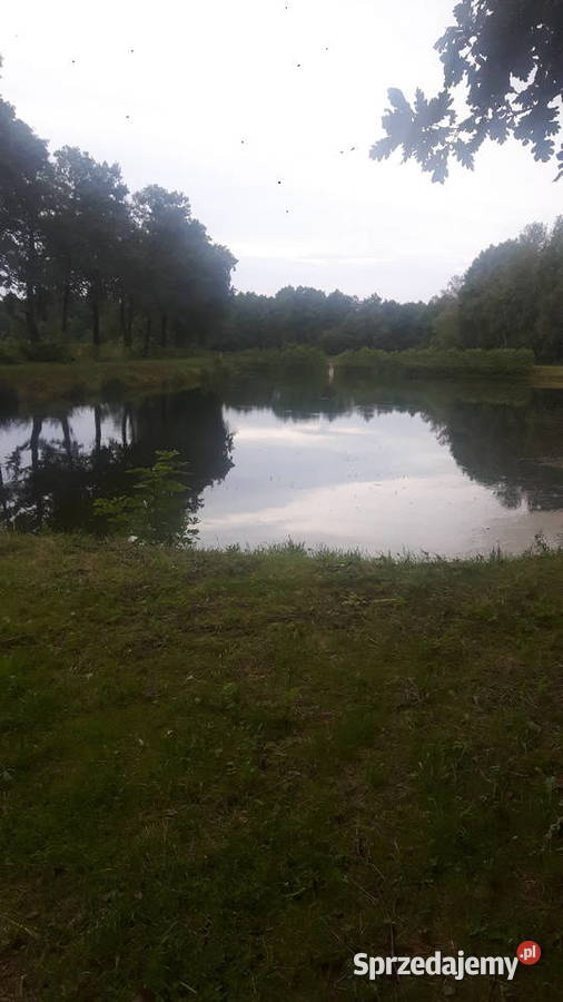 KARP KROCZEK KROCZEK KARPIA 020030 Łódź