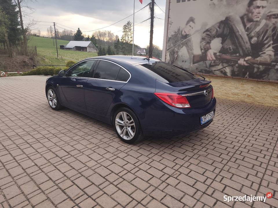 Opel Insignia 2009 20 CDTI małopolskie Bistuszowa sprzedam