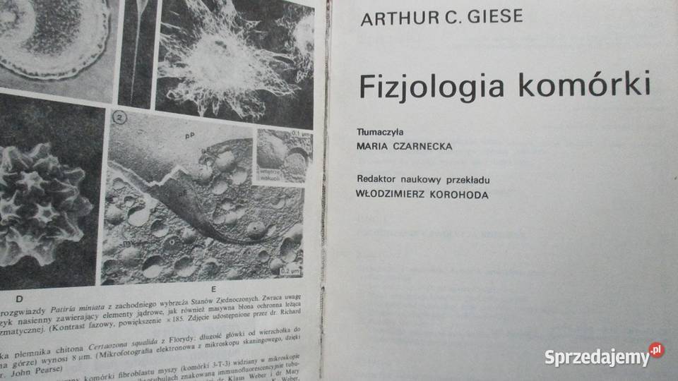 Fizjologia komórki Giese biologia komórka Łódź