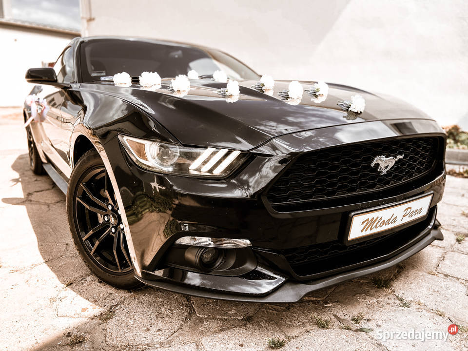Auto Sportowy do Ślubu na wesele MUSTANG Premium Jelenia Góra