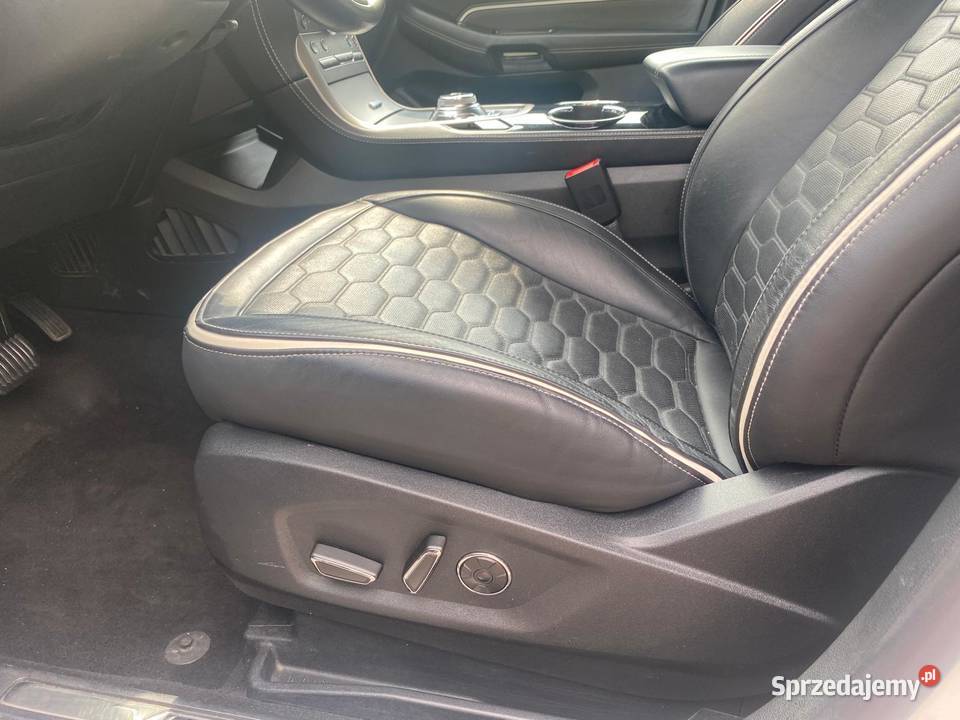 Ford S 20 EcoBlue Vignale Full Masaże śląskie Knurów