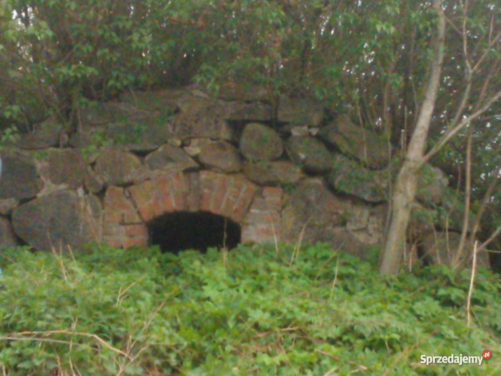 SIEDLISKO WARMIA I MAZURY GOŁDAP NASUTY sprzedam