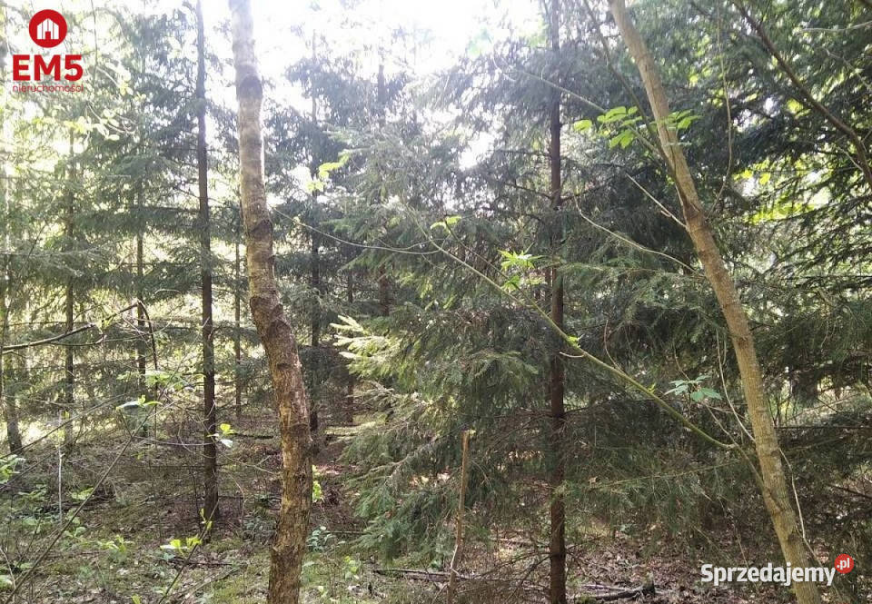 Sprzedaż działki 1100m2 Nowogród