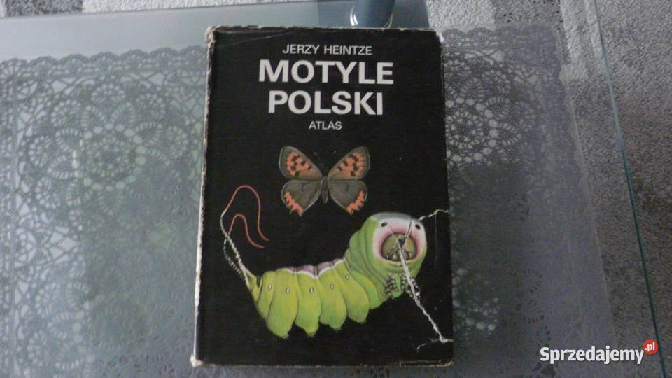 Motyle Polski Atlas  Jerzy Heintze