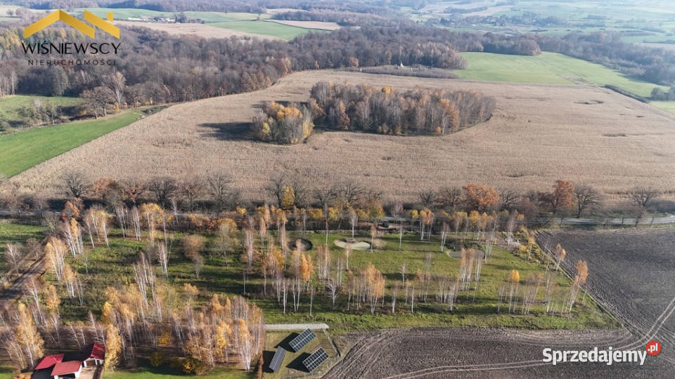 Dawidy działka z WZ 3001 m